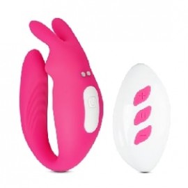 Remote Control Sex Toys